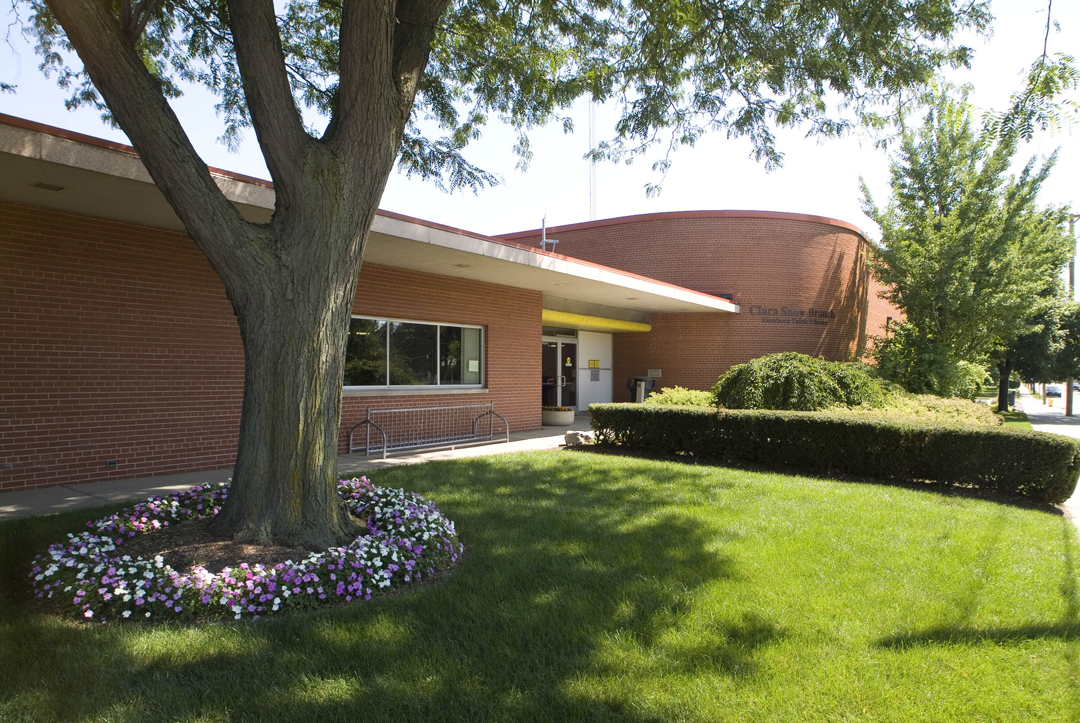 Snow 2 | Dearborn Public Library